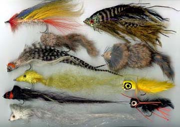 Free Trout Pike and Saltwater Fly Tying Patterns